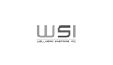 WSI Logo